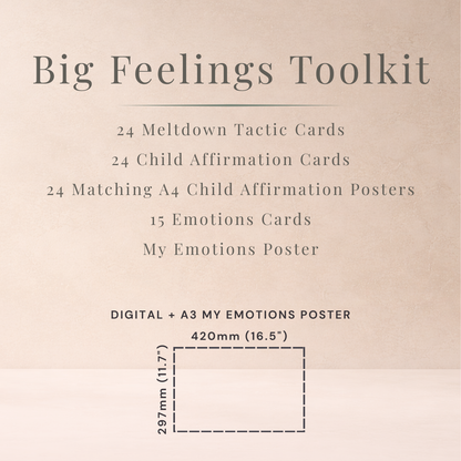 Big Feelings Toolkit