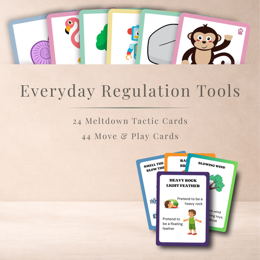 Everyday Regulation Toolkit